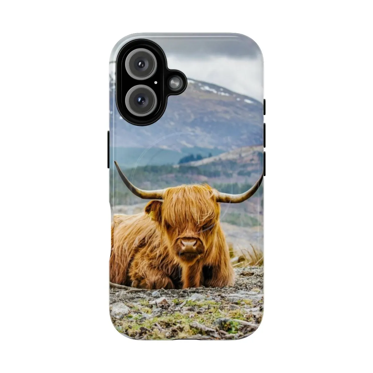 Adorable Highland Cow Phone Case - A Cute Scottish Gift