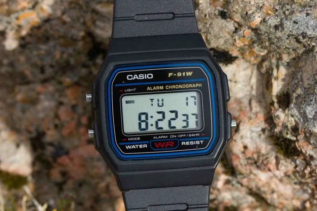 Casio  F-91W-1D Black Resin Strap Watch for Men and Women