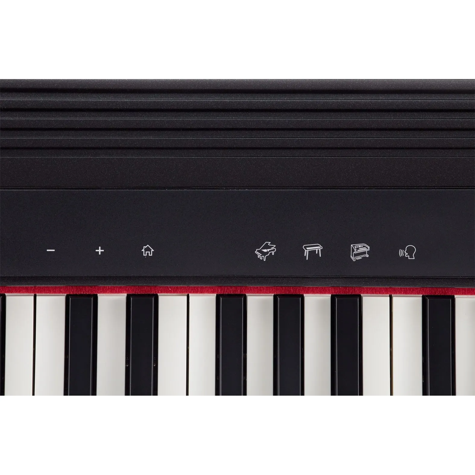 Roland GO-61P GO:PIANO 61-key Digital Piano